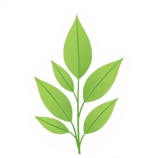 Composition Naturelle